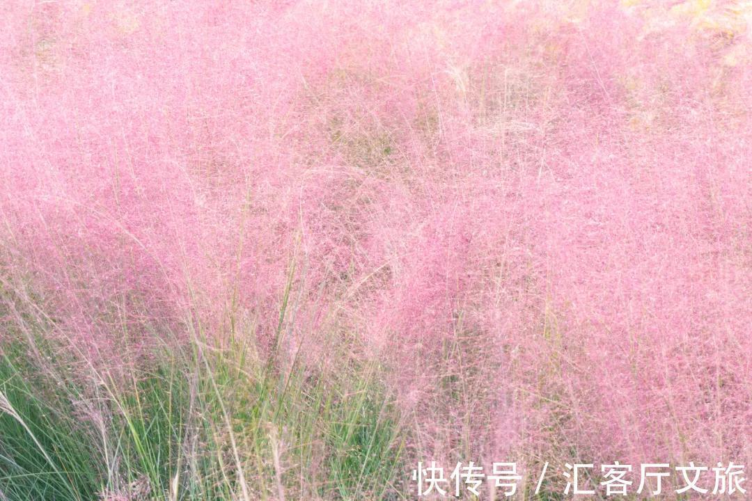 姑苏|秋天是苏州最美的季节：枫叶红、银杏黄、桂花开……