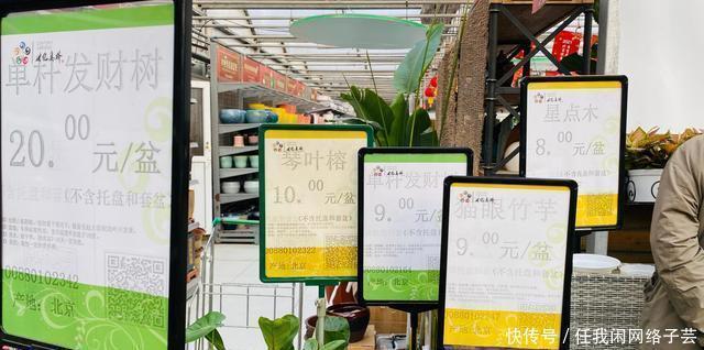 北京开了第一家绿植花卉大超市，就在南三环边上明码标价新鲜实惠