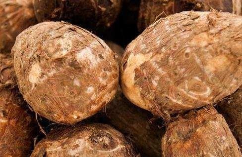 教你5个小妙招，挑选优质软糯芋头，爱吃芋头的朋友一定要学学！