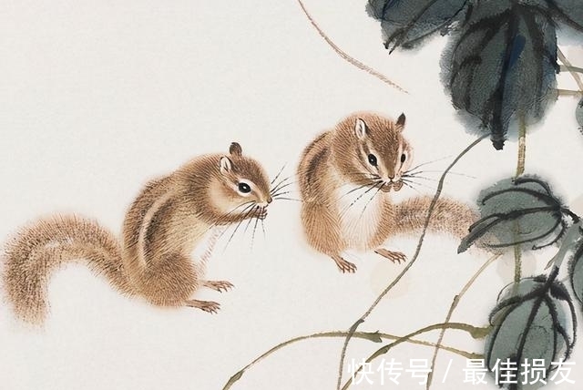 财运|财运不好?别担心,11月第一周生肖运势特吉,赚大钱抱着钞票偷乐