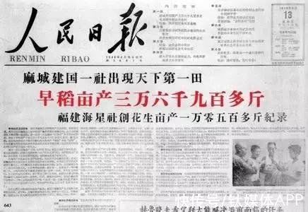 是真的吗|内卷的拼多多、淘宝，做起了“偏门”生意