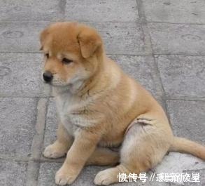 5个最挣钱没人干的生意一年收入哈希娱乐- 哈希游戏平台- 哈希游戏官方网站18-20万比打工挣钱多了！