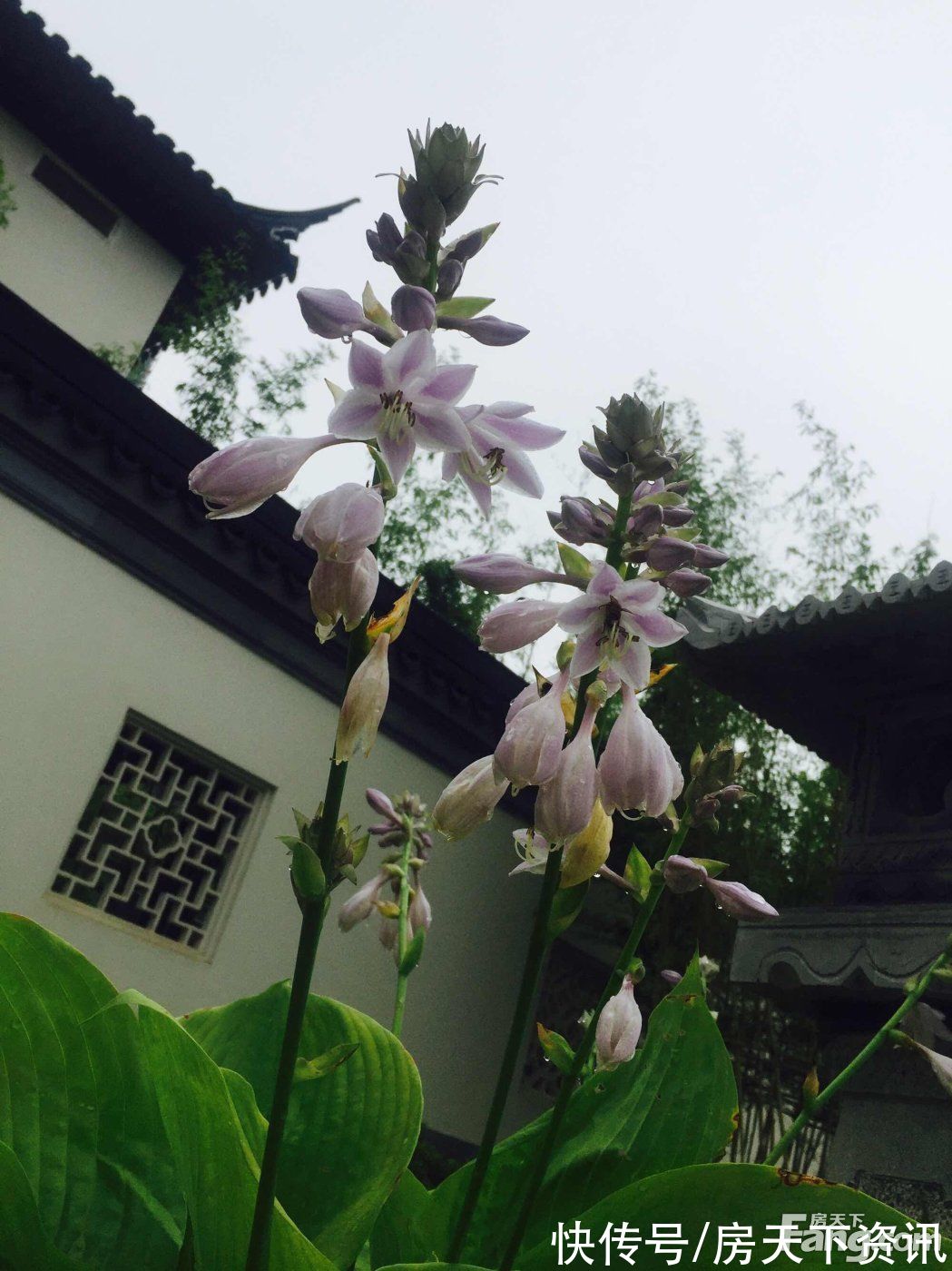 西安|请查收从西安临潼热门楼盘现场传来多张谍照（组图）