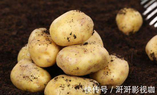 纸箱|今天才知道,保存土豆真简单,只放一点它,放一年都不怕发芽