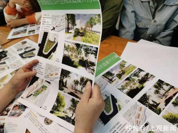 仙境 惊艳！上海老人在小区造“仙境”景点，家门口种花搞出各种名堂