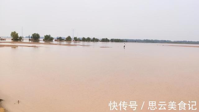 黄河|黄河水位大降，钓鱼人探钓黄河滩，“野货”真不少