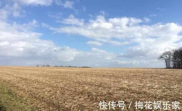 土地|农村2000年以后出生的小孩只有户口,没有承包地,以后怎么养老