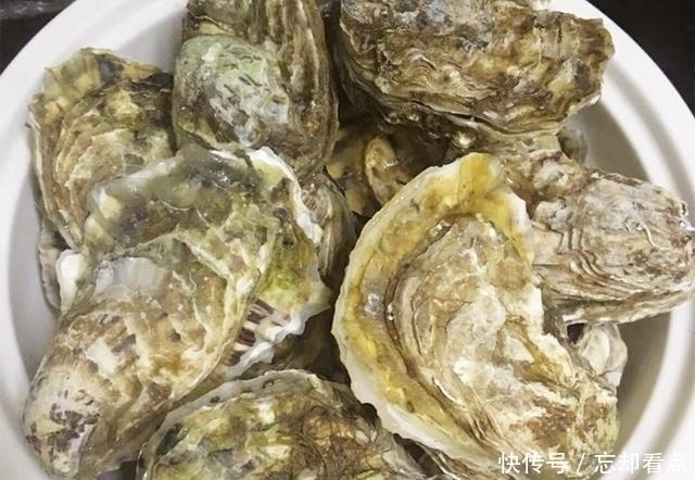 肉质|煮生蚝时,直接下锅大错特错!海边人如此做,煮出的生蚝又鲜又嫩
