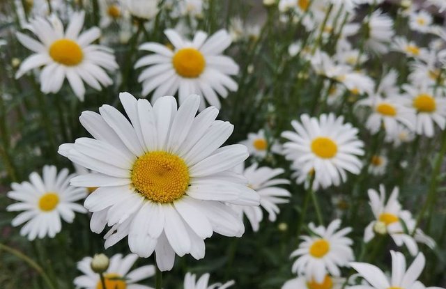 庆云#诗词:秃笔投枪抵万兵，横眉立目骨铮铮