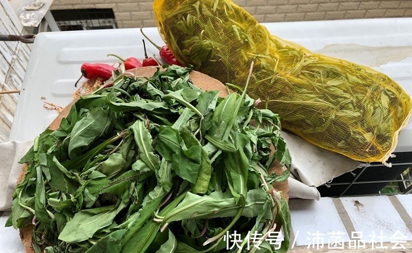 我妈|天然“青霉素”被找到，隔三岔五吃，杀菌消炎防感冒，别不懂吃