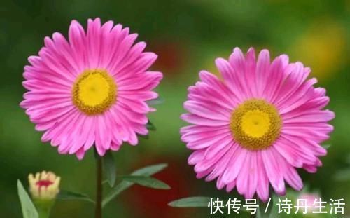 排毒养颜|想长寿先排毒,多吃以下食物,促进肠胃蠕动,加速排便,肤色更好