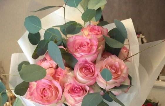 喜欢玫瑰不如养一盆“红袖玫瑰”，花语红颜知己，颜值高寓意好