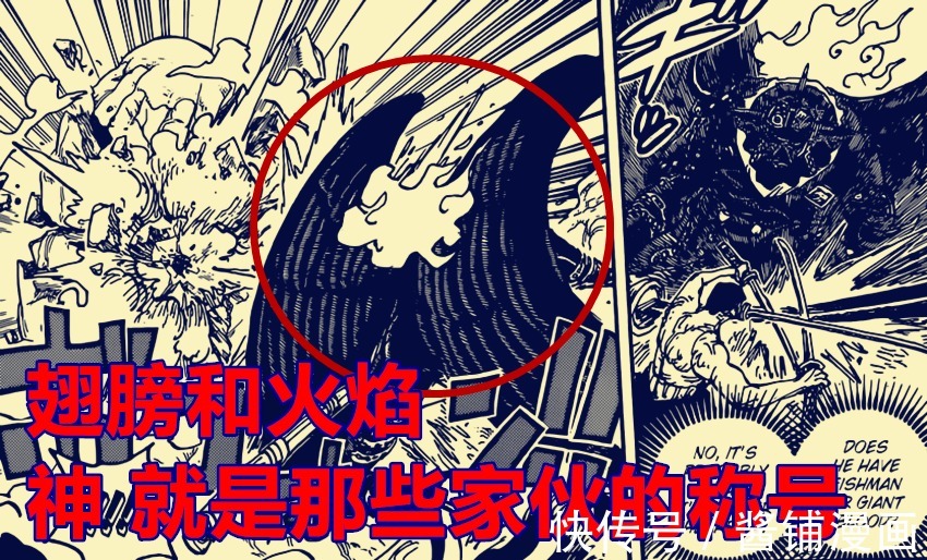 五老星|海贼王,奎因科普King是被灭绝的神族幸存者,能在任何环境中生存