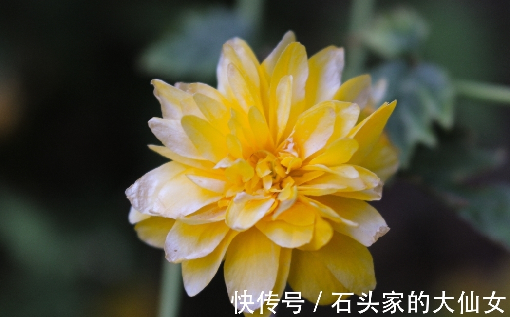 生肖|7月，紫气东来，桃花运旺，恋爱顺利，3生肖喜结良缘，如鱼得水