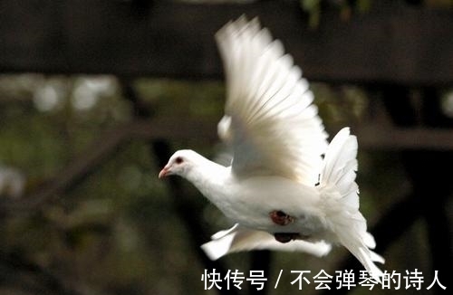 驿站|古代常见的长途通讯方式都有哪些呢？