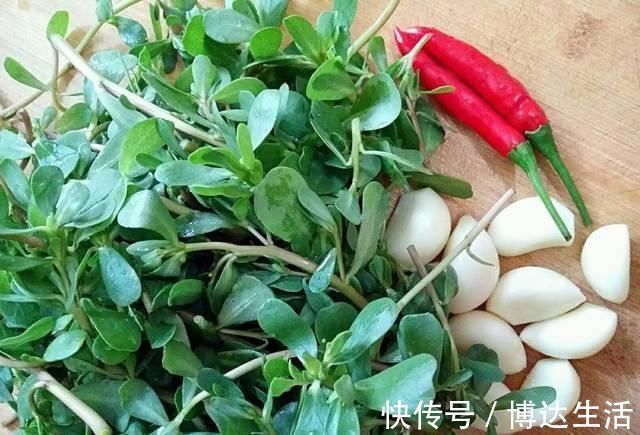 野菜|它被称为“药王”，好看又好吃，营养价值高，现在知道还不晚