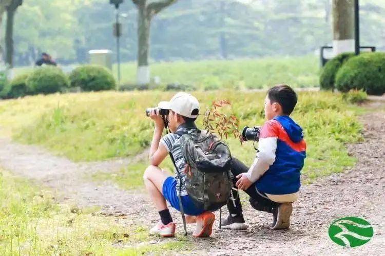 暗绿绣眼鸟|魔都10后女孩，跟鸟较上了劲