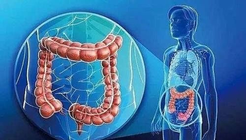 克拉霉素|幽门螺杆菌治疗最新方案：清除率高，远期复发率低、不良反应少