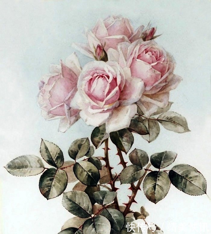 春光灿烂$很有意境的句子,生活是个万花筒,酸甜苦辣尽藏其中