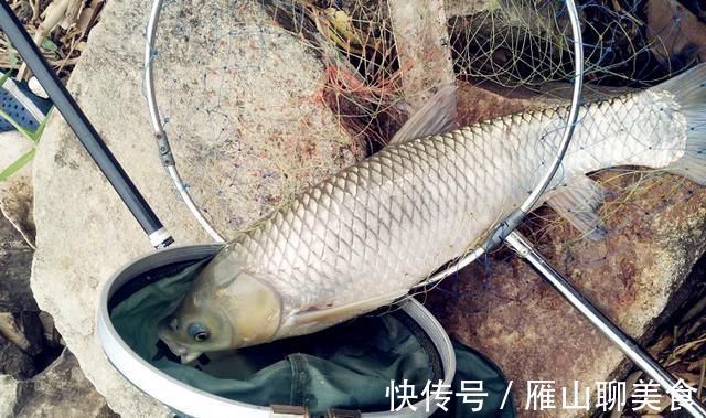 辈子|野钓大半辈子,竟然才知道诱鱼最管用的方法,你尝试过了吗