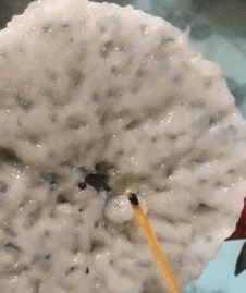 |搞笑GIF:看到这一幕,看感觉自己活的还不如一只狗了呢