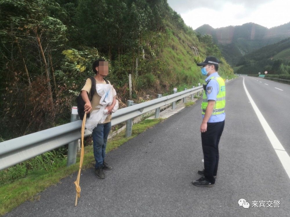 道路交通安全法|1000多公里要走回去？万万不可！