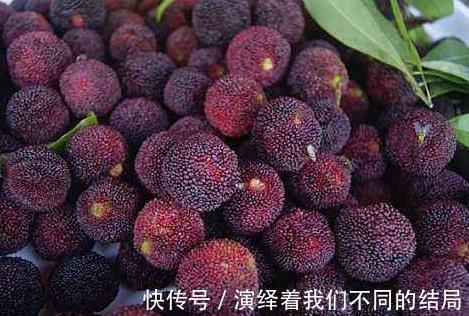 妇科疾病|想要做一个“无炎症”女人,抓紧把这几种食物吃起来!