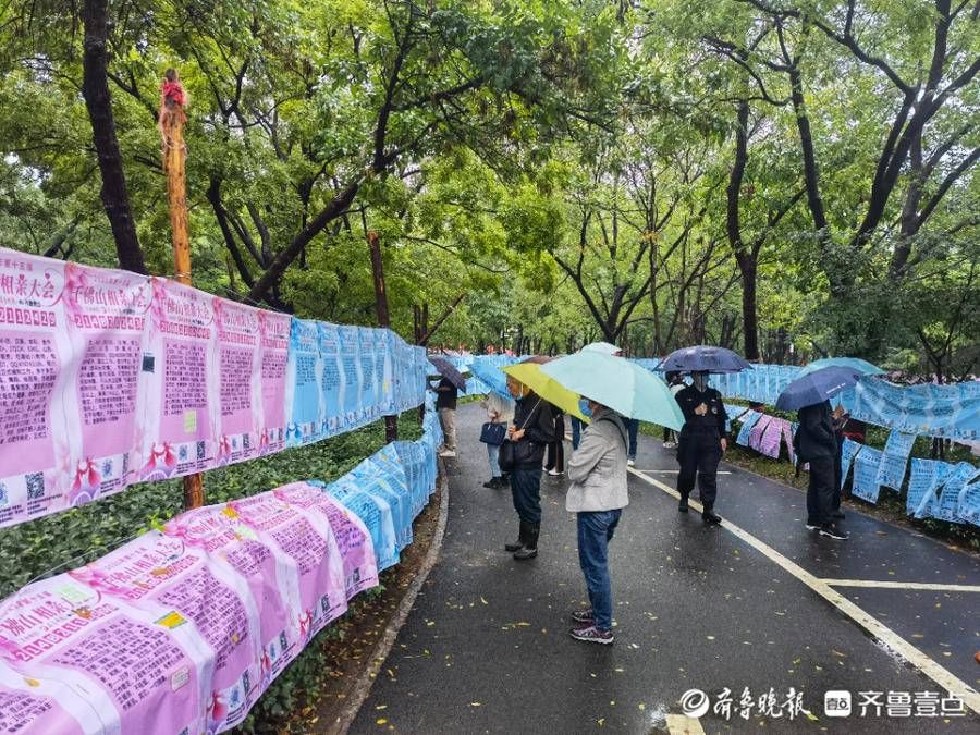 相亲大会|雨中情！千佛山相亲大会开幕第二天，现场浓情满满