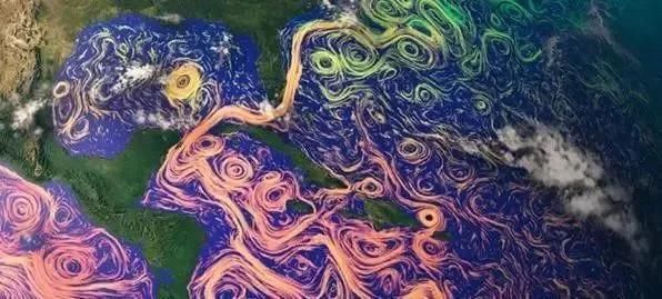 物种 地球不为人知的15大秘密,第一个你就不知道