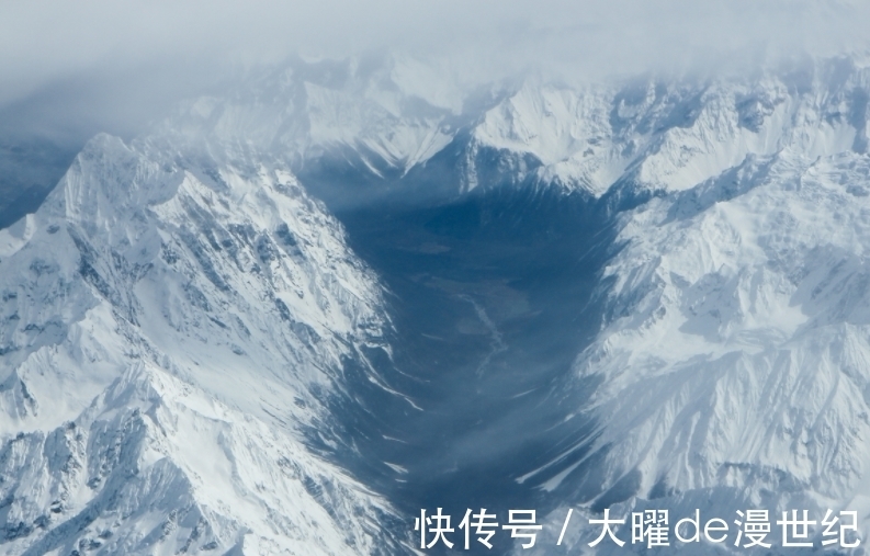 喜马拉雅山最“神秘”的植物，寿命仅有七年，一生只开一次花