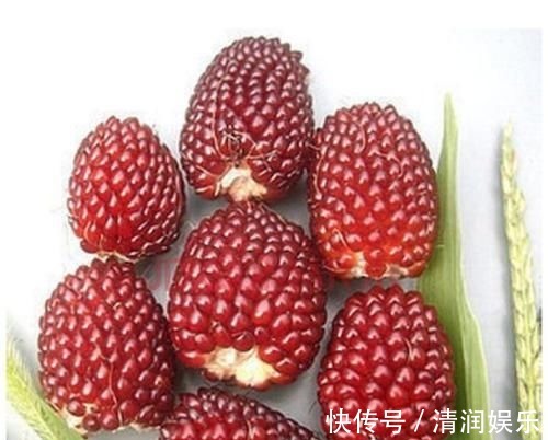 妇科病|女性到了中年,常吃几种食物,补血养颜,排毒抗衰,预防妇科病