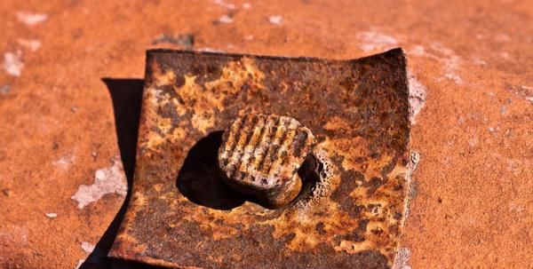 花店老板打死都不愿意说的秘密:养花草怎么防治烂根黄叶