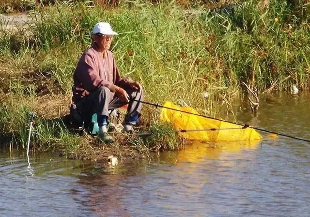 窝料|冬季垂钓不想走空,注意这3点,期待的渔获可得