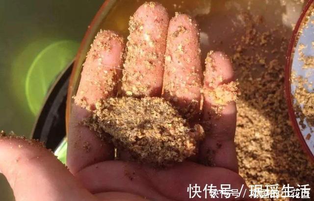 冬钓大板鲫自制窝料配方，成本低效果不错，制作特别简单