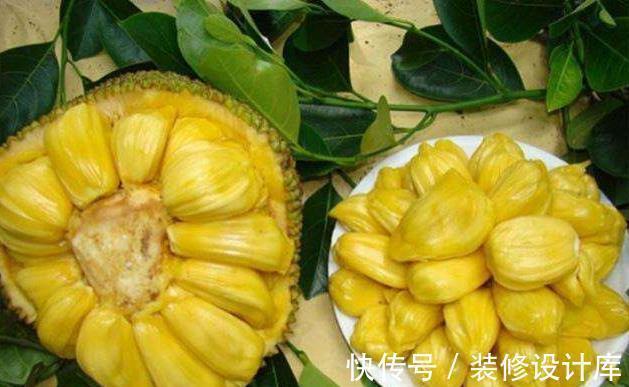 黑加侖|夏季常吃3種水果，明目養肝益氣補血，有效緩解宮頸癌乳腺癌