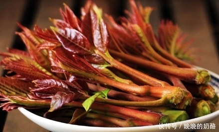 香椿嫩叶味鲜,吃就要趁早,还能清热除湿