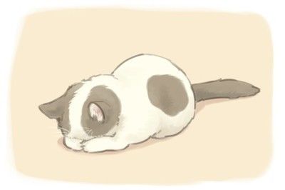 可爱猫咪的漫画图片欣赏 快资讯