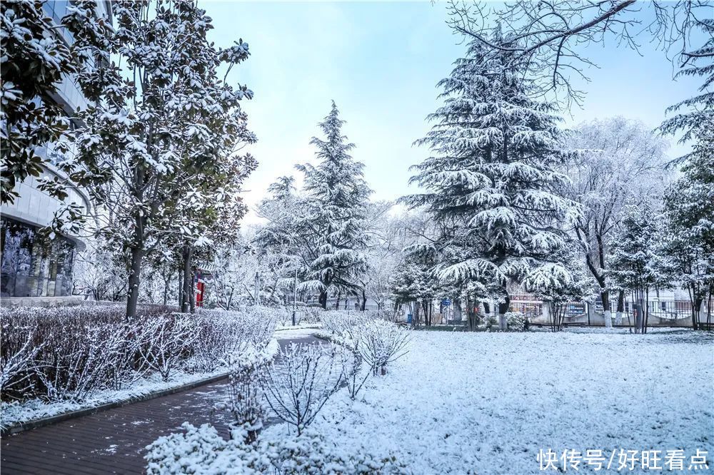 西安翻译学院：银装素裹雪景美如画