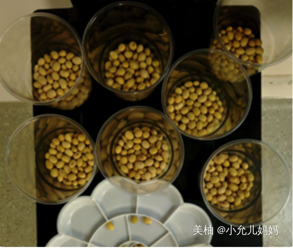 放学后|“老师说要带1万颗豆”,全家熬夜数豆子,质问老师却被“打脸”