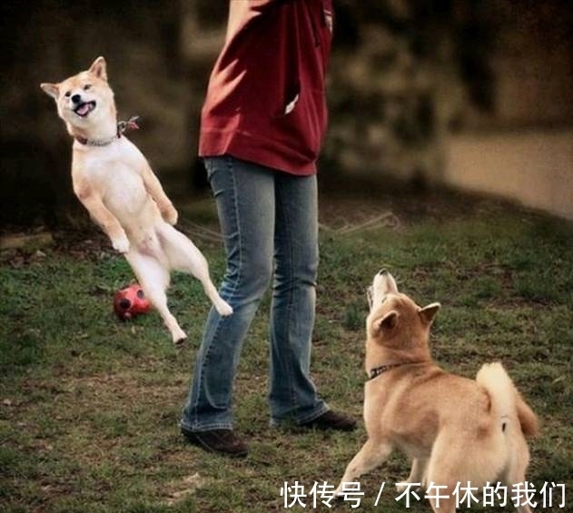 |搞笑图片幽默段子笑话:这空气是有毒吗?用得着这样么