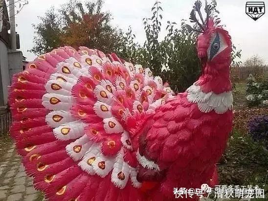 下次再有饮料瓶千万不要丢,看完这个你就明白了,附教程