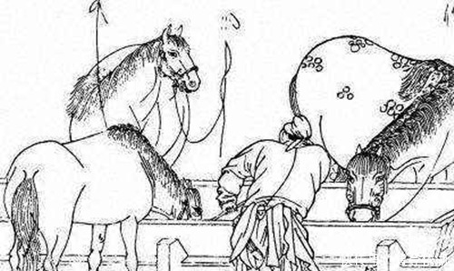养猪|古人为何分槽喂马,同槽养猪?既是帝王术智慧,也是现代职场经验