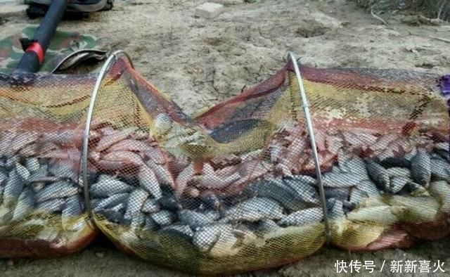 特效|六月一到,这特效鲫鱼饵不用白不用,十年老钓手都拍案叫绝,服了