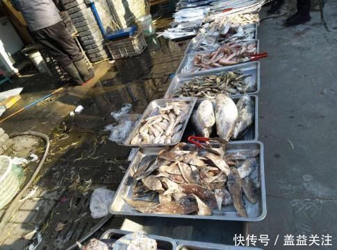 海水鱼|过节吃鱼,首选这3种鱼,现在没有办法人工养殖,吃着更放心