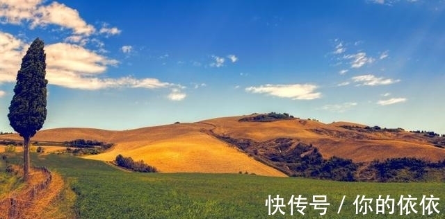 2周内,喜鹊欢腾,桃花盈门,邂逅真爱,勇闯情网,再次相爱