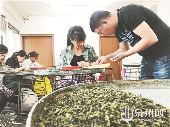 三叶开面|“一杯好喝的茶”是怎么来的