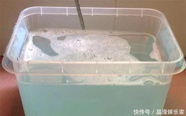 白粉病|给花喷点杀菌水，虫子全杀死，杀菌消毒叶子绿