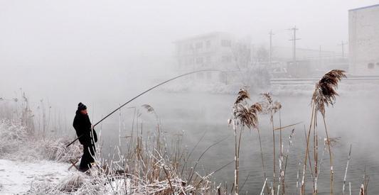 冬天遇到了这两种天气,请假也要去钓鱼,因为大板鲫真的很多
