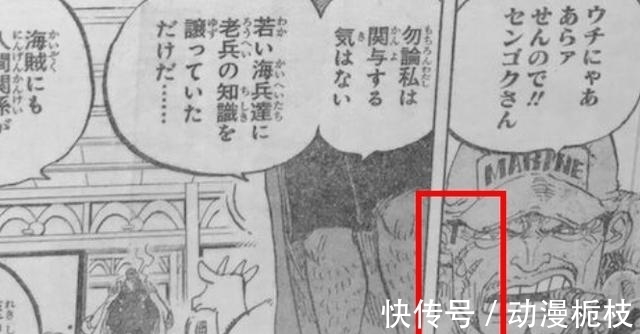 克比|海贼王：革命军VS海军本部一战，藤虎被人开了瓢，龙爪手抓伤赤犬