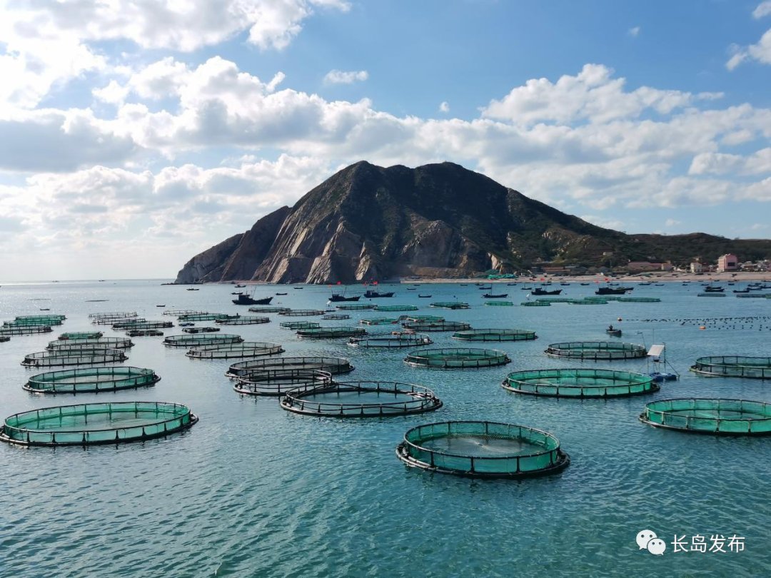 碧波|在长岛，领略北方海岛的魅力